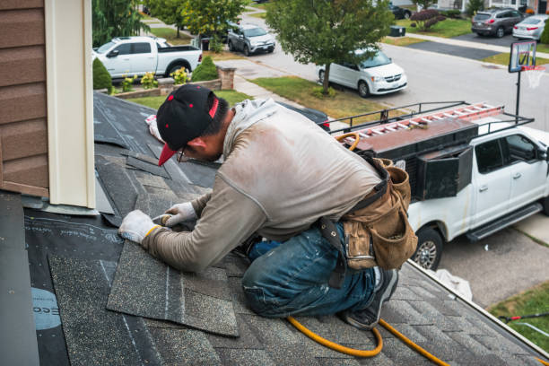 Professional Roofing technician working in Shelly, MN